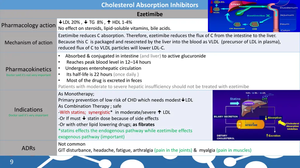 cholesterol absorption inhibitors ezetimibe