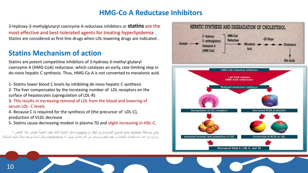 hmg co a reductase inhibitors