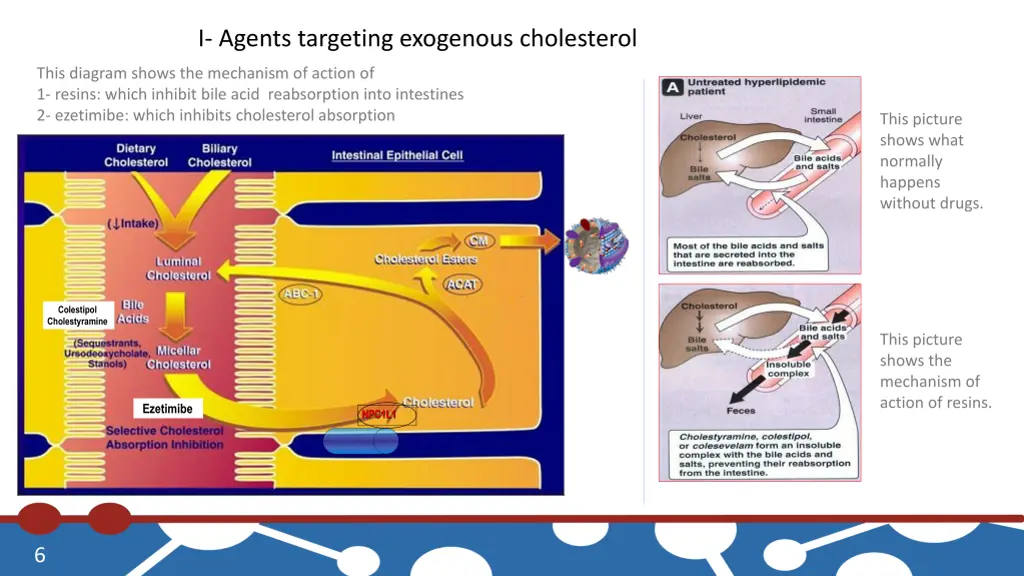 i agents targeting exogenous cholesterol