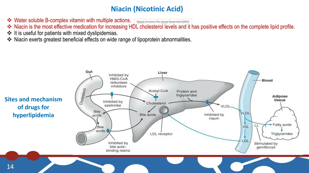 niacin nicotinic acid