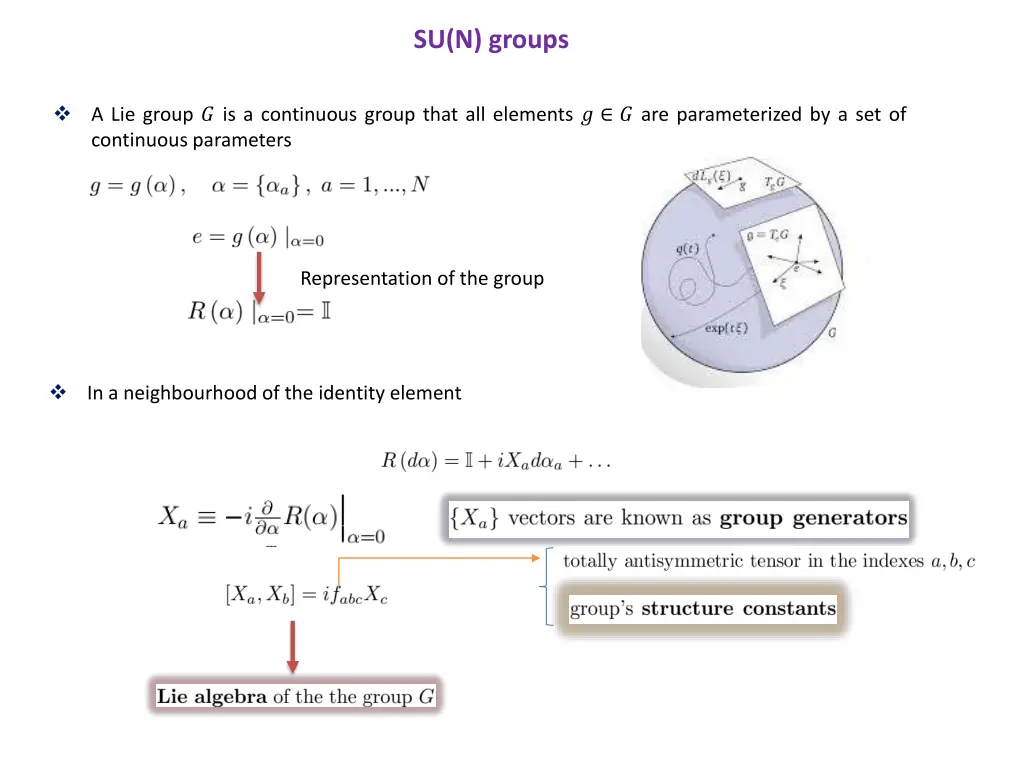 su n groups