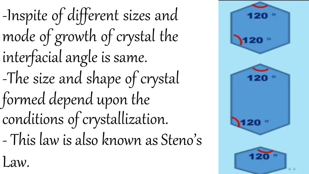 inspite of different sizes and mode of growth