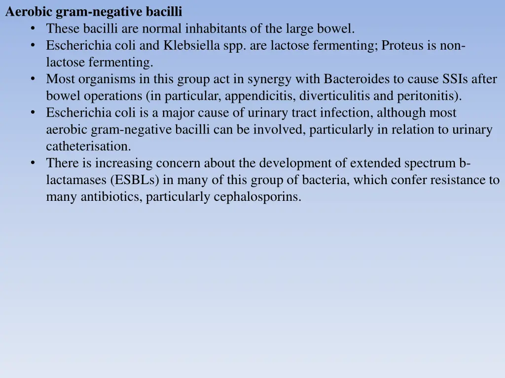 aerobic gram negative bacilli these bacilli