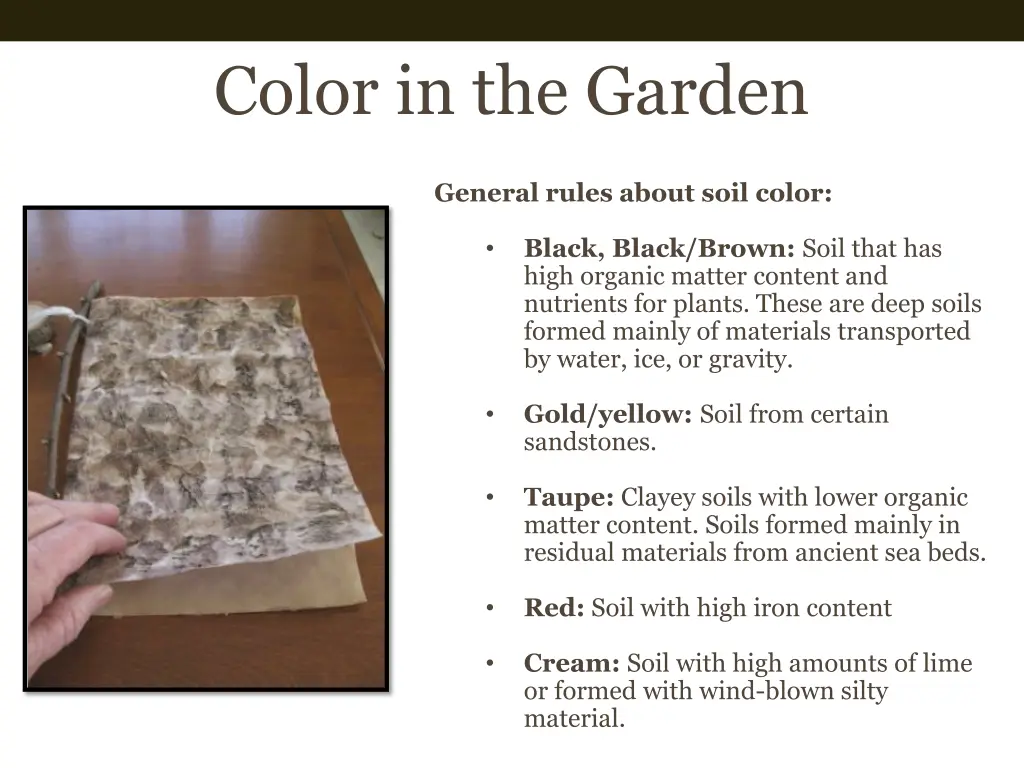 color in the garden