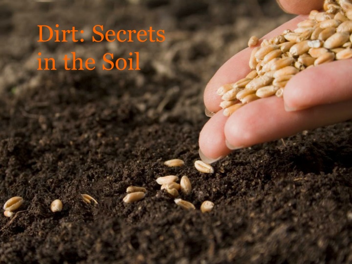 dirt secrets in the soil