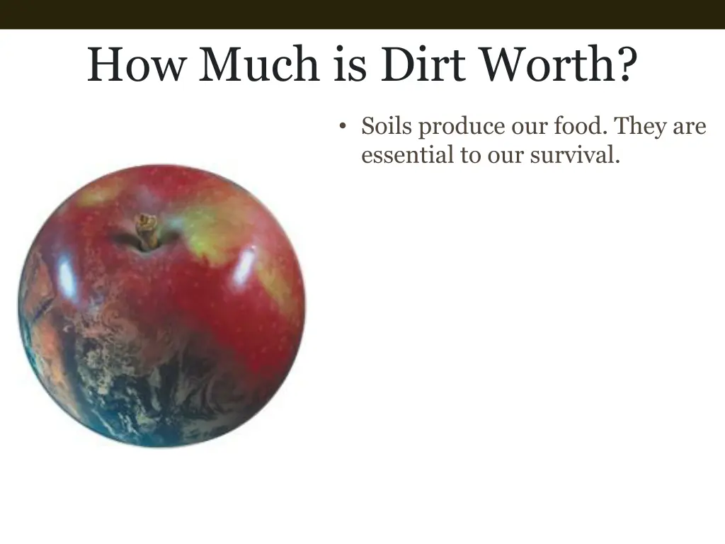 how much is dirt worth 1