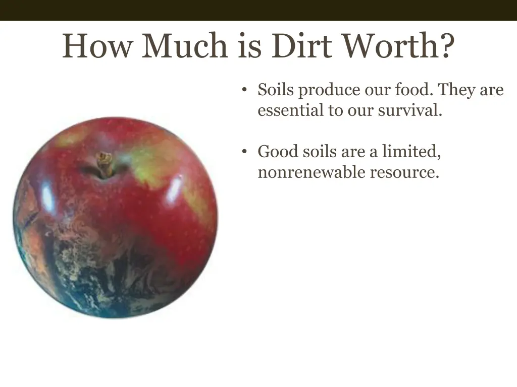 how much is dirt worth 2