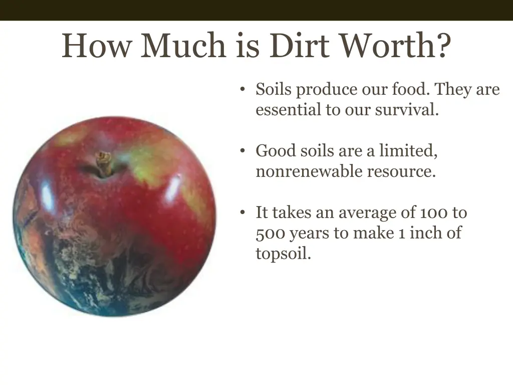 how much is dirt worth 3