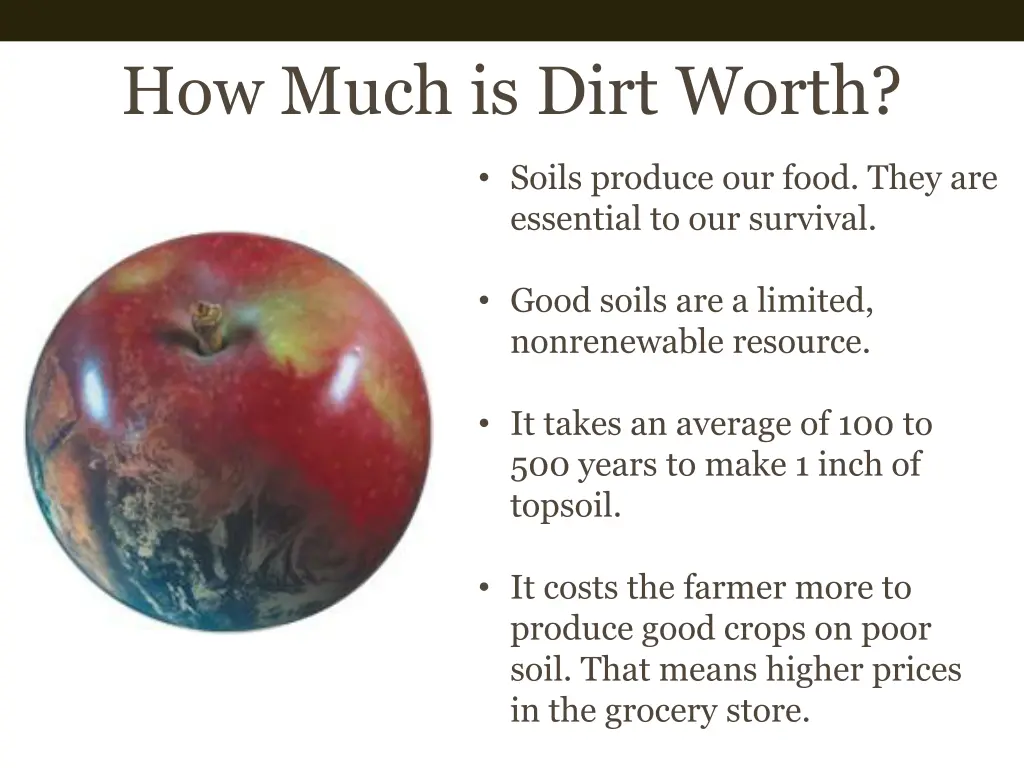 how much is dirt worth 4