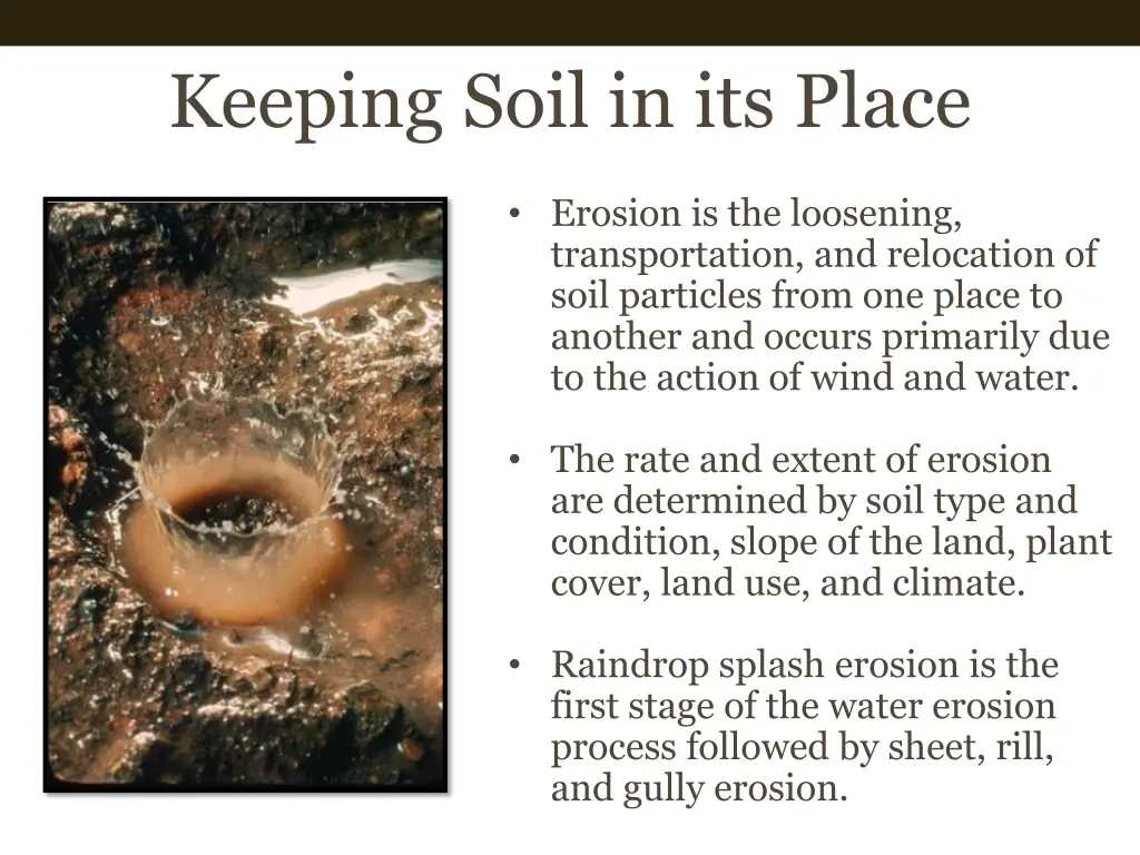 keeping soil in its place