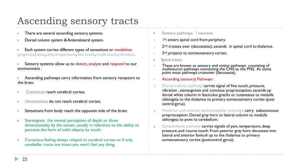 ascending sensory tracts