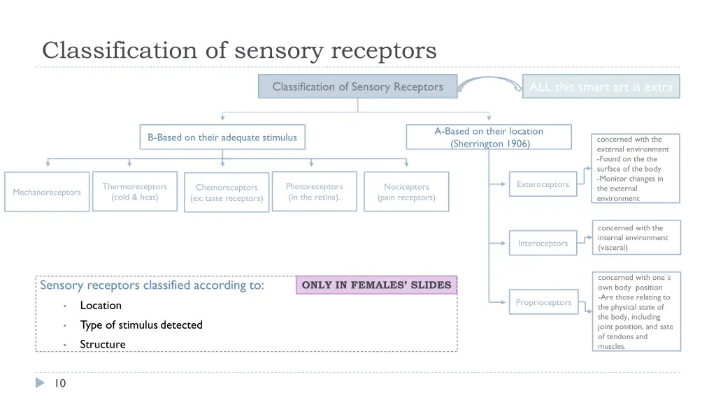classification of sensory receptors
