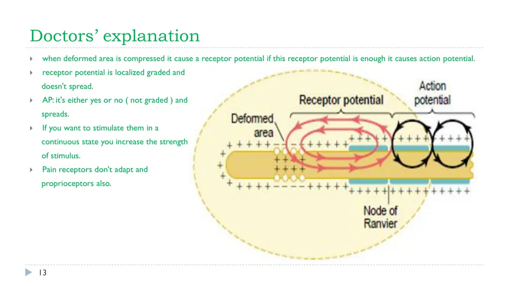 doctors explanation