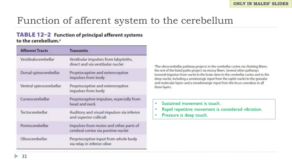 only in males slides 11