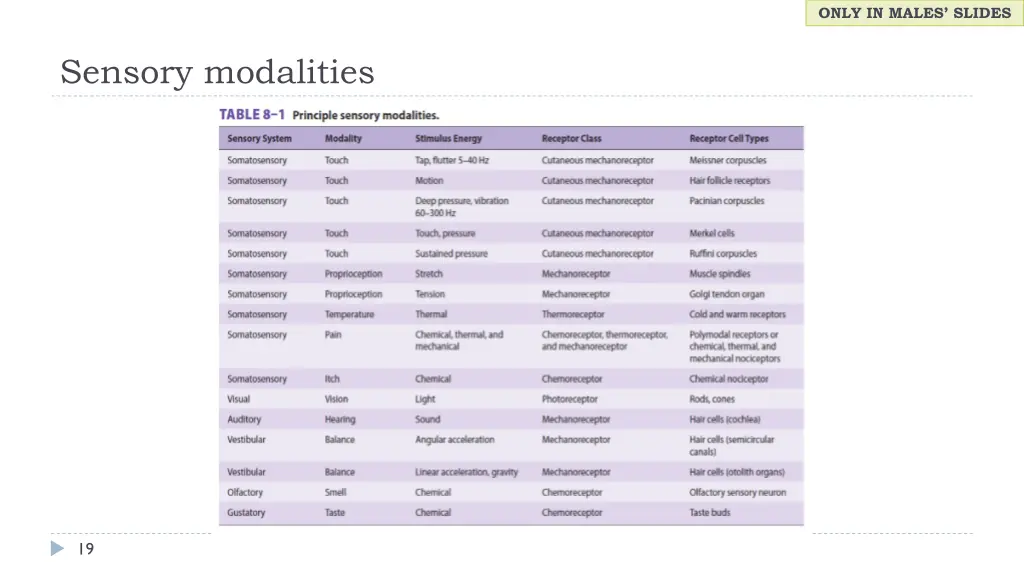 only in males slides 4