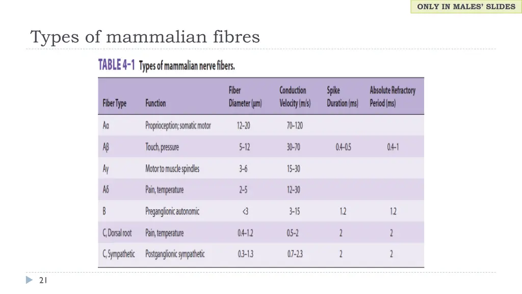 only in males slides 6