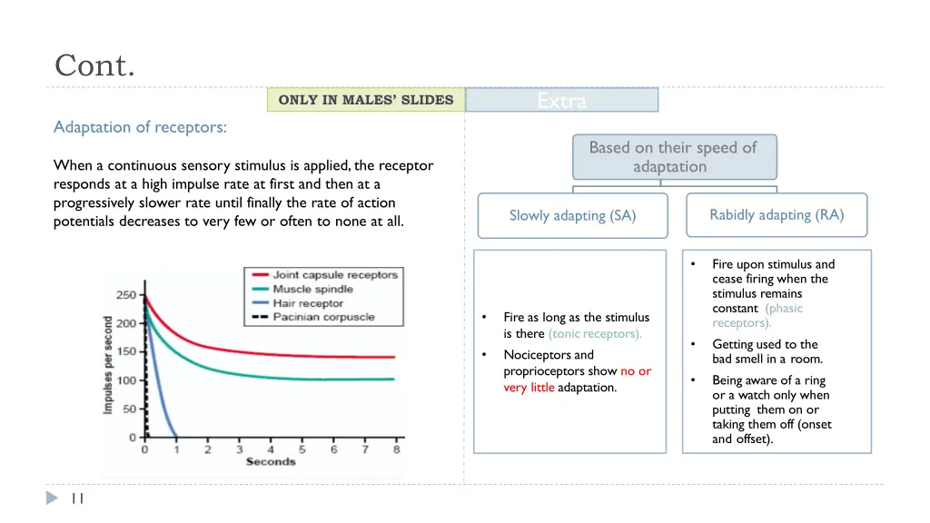 slide11
