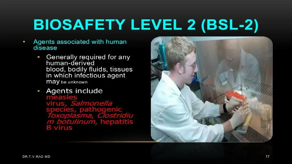 slide11