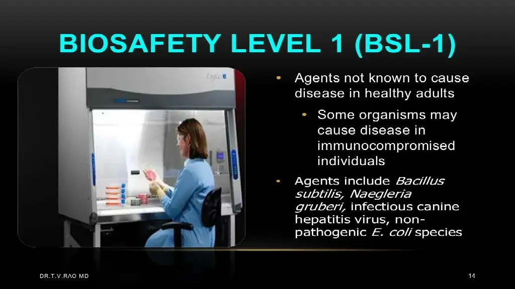 slide9