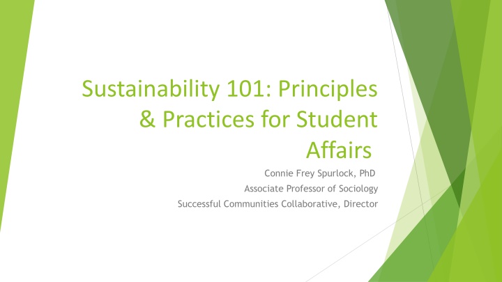 sustainability 101 principles practices
