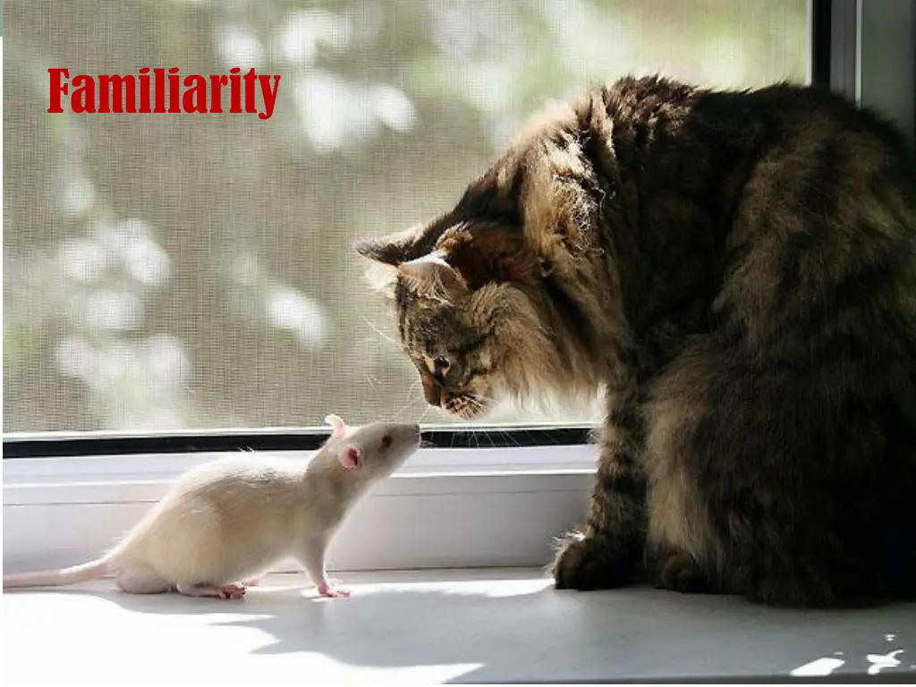 familiarity