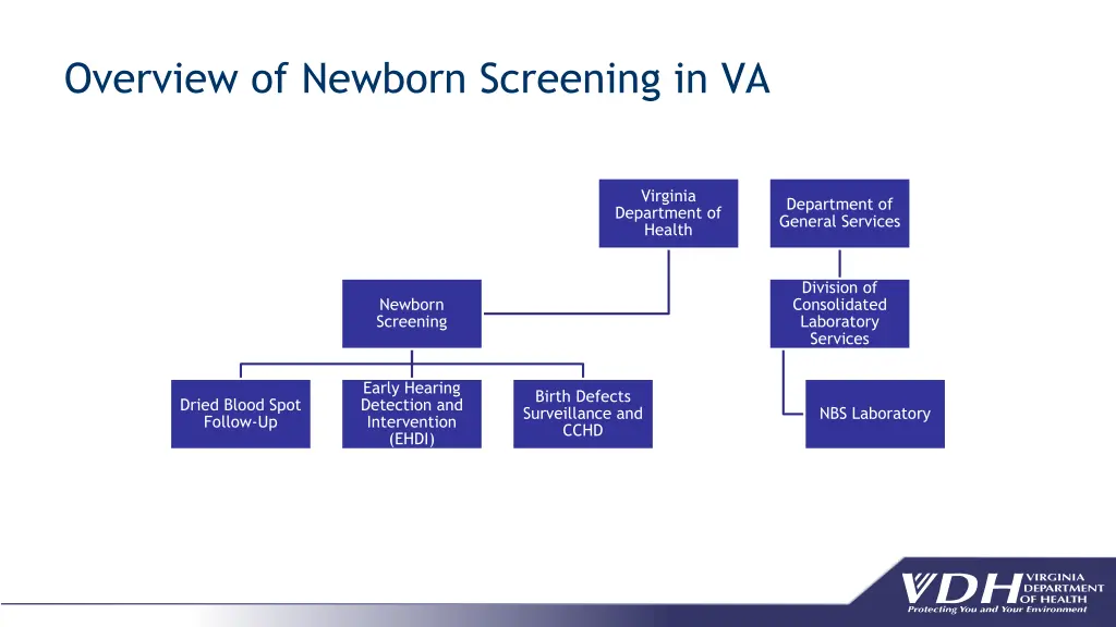 overview of newborn screening in va 1