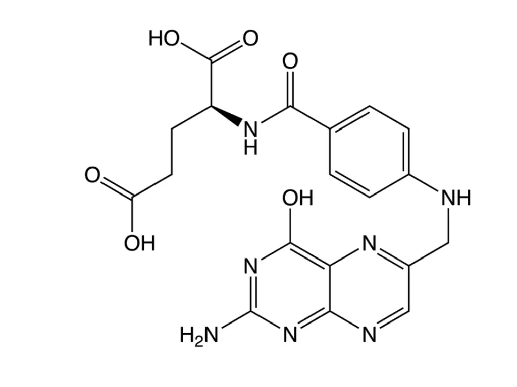 file folicacid2 png