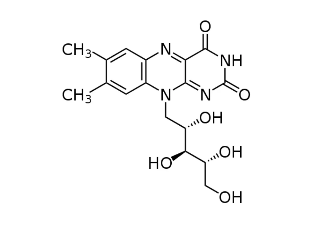 file riboflavin svg