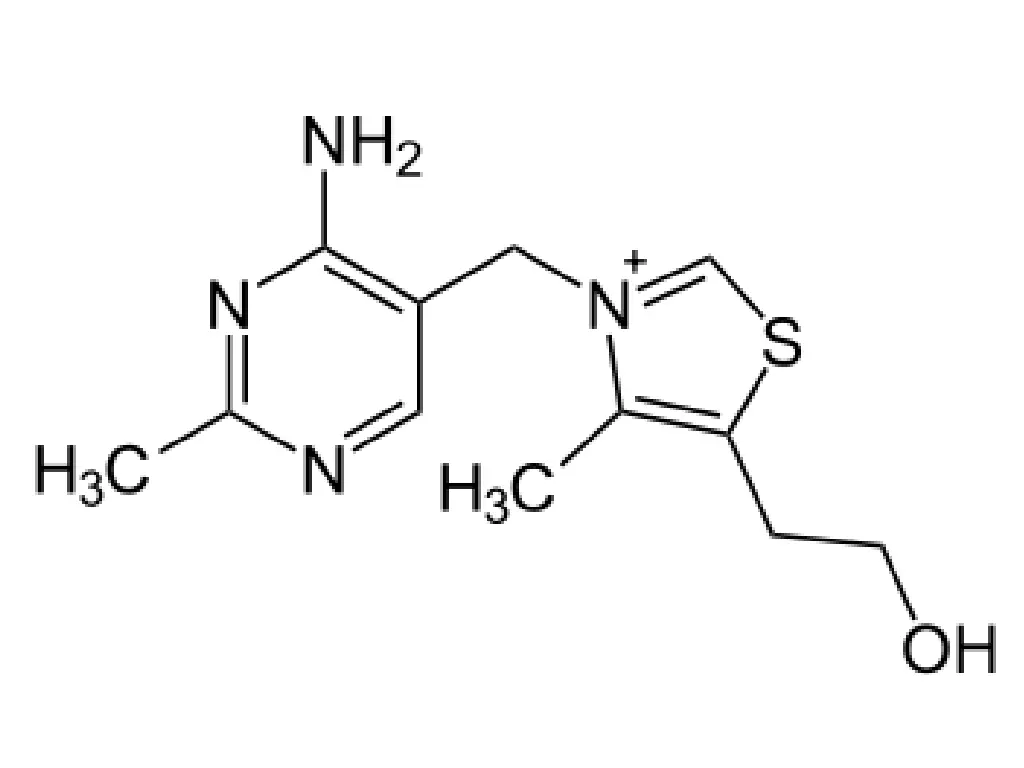 file thiamin svg