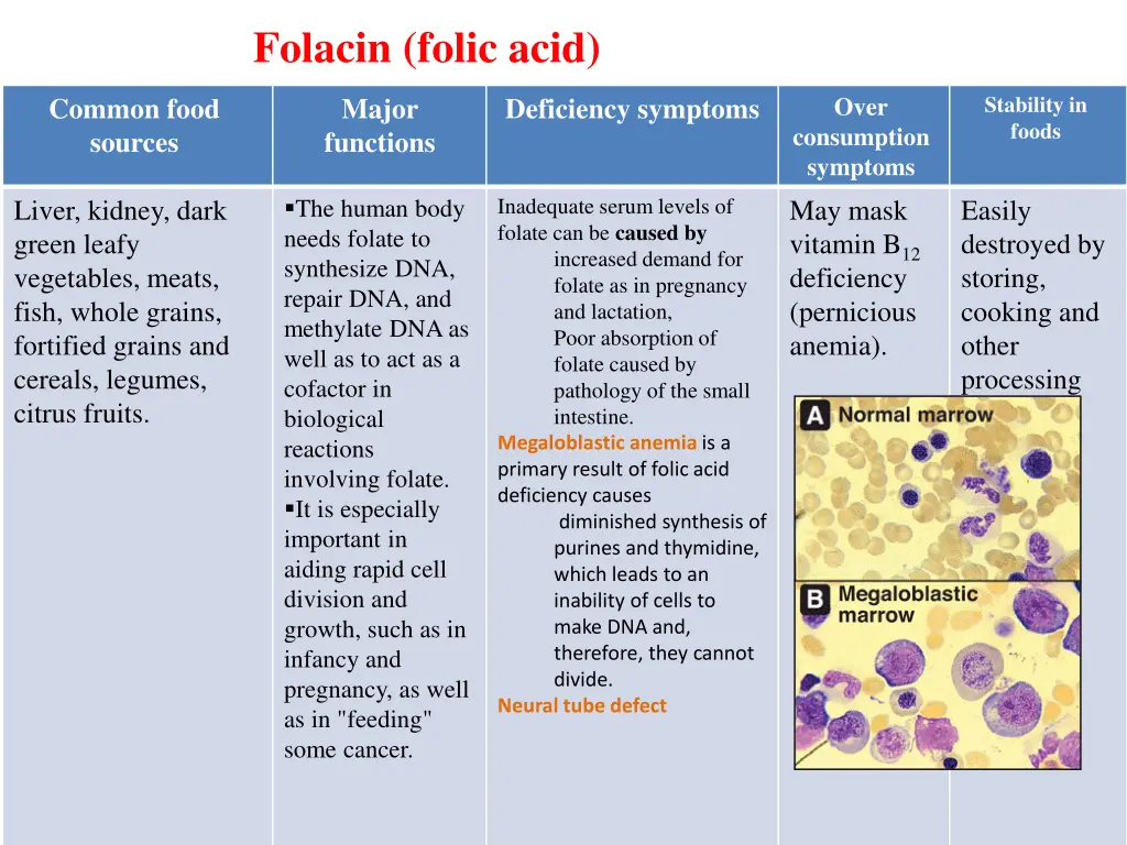 stability in foods 5