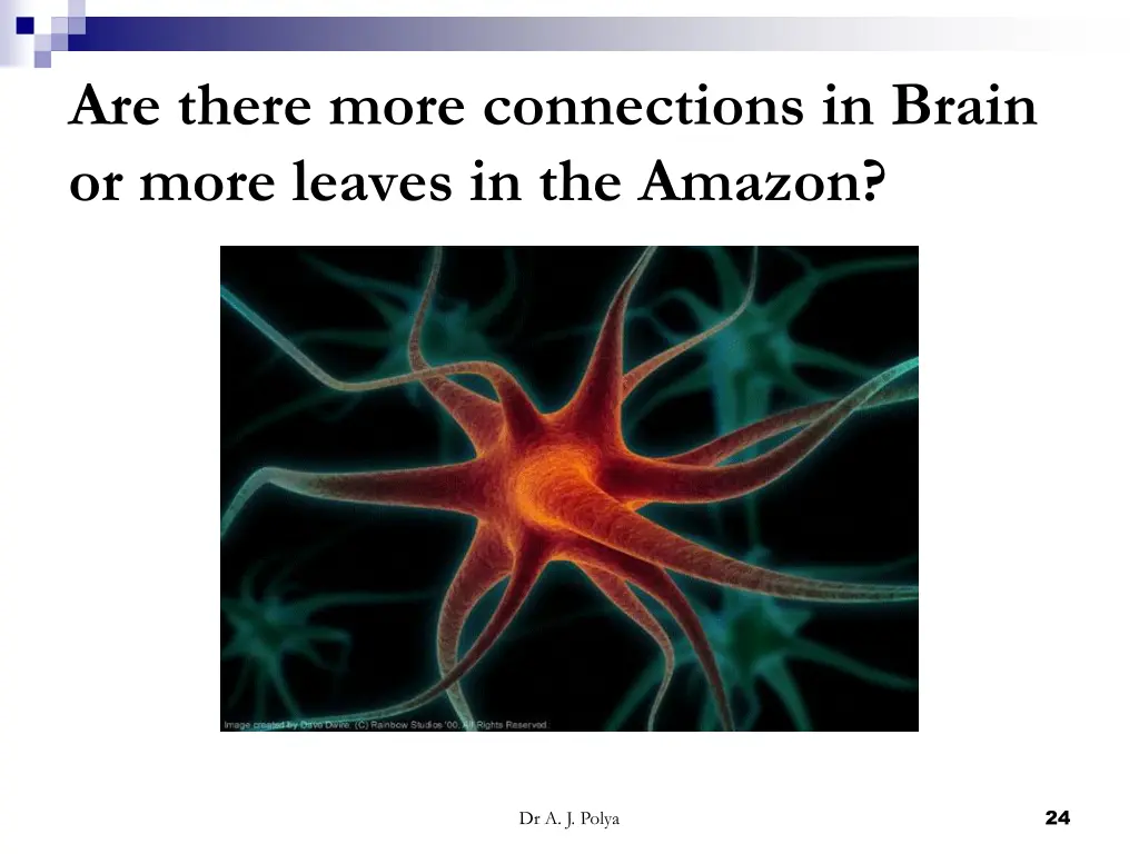 are there more connections in brain or more