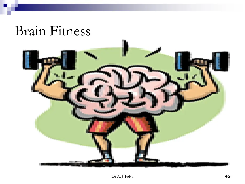 brain fitness