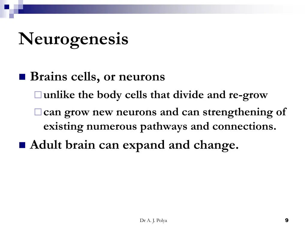neurogenesis