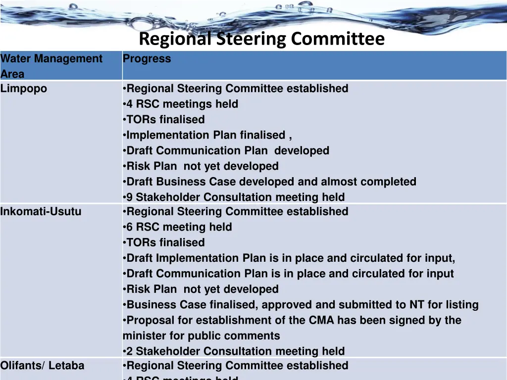 regional steering committee progress
