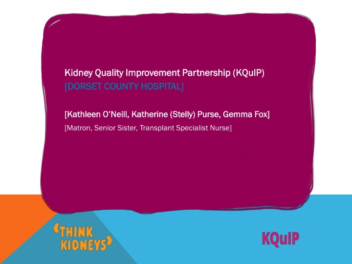 kidney kidney quality improvement partnership