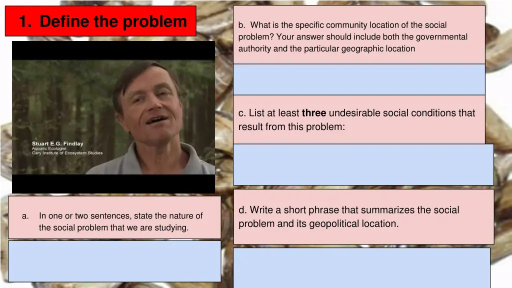 1 define the problem