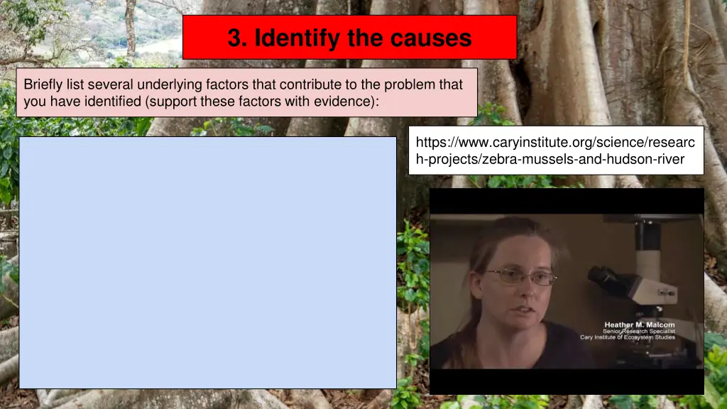 3 identify the causes