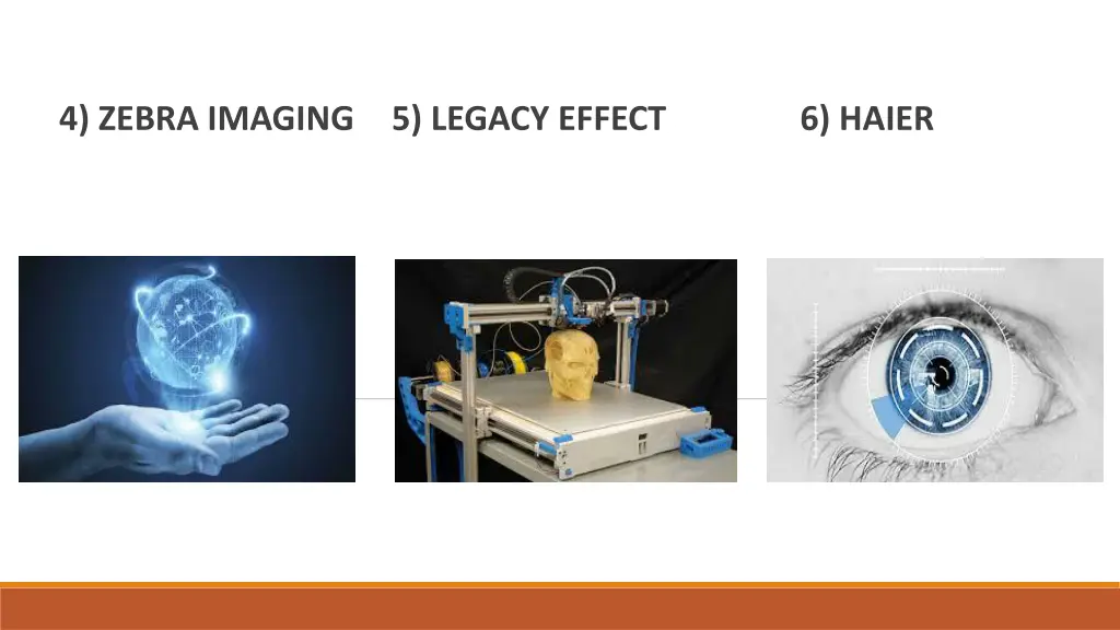4 zebra imaging