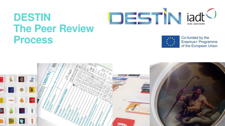 destin the peer review process