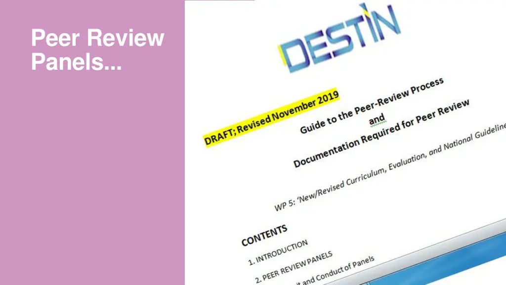 peer review panels 1