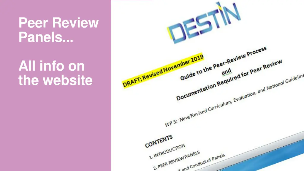 peer review panels 2