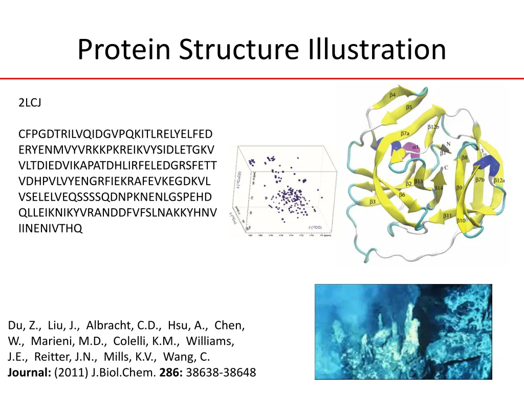 protein structure illustration