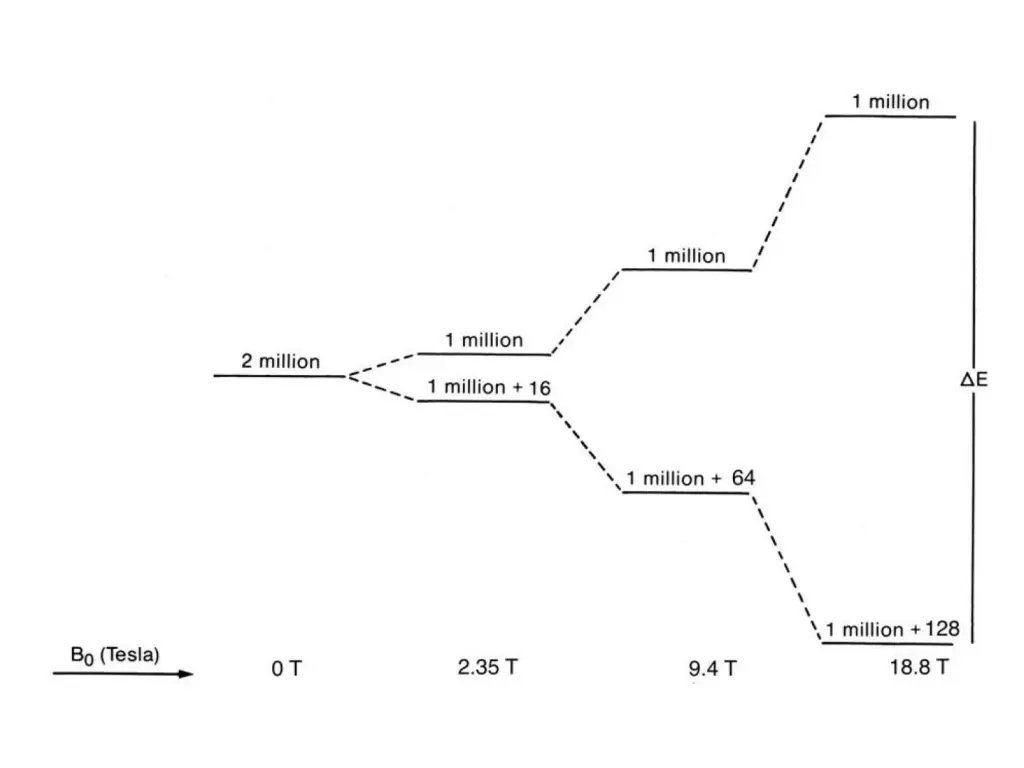 slide29