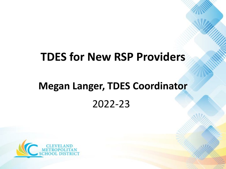 tdes for new rsp providers