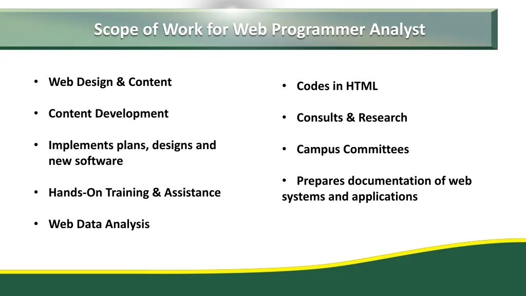 scope of work for web programmer analyst