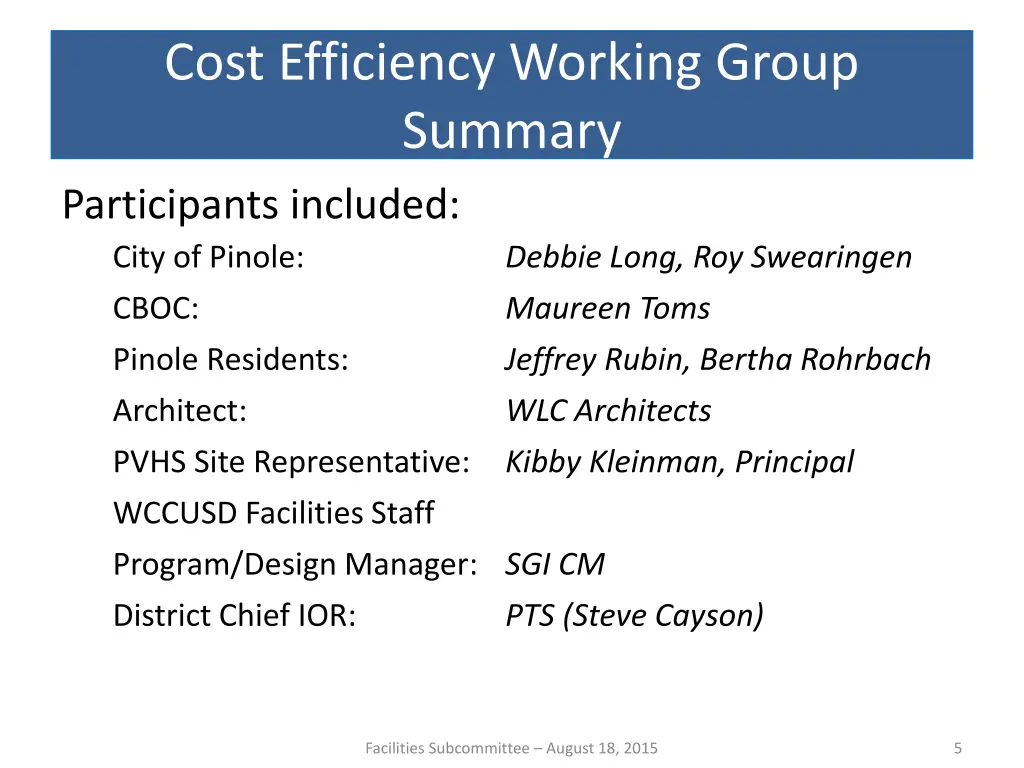 cost efficiency working group summary