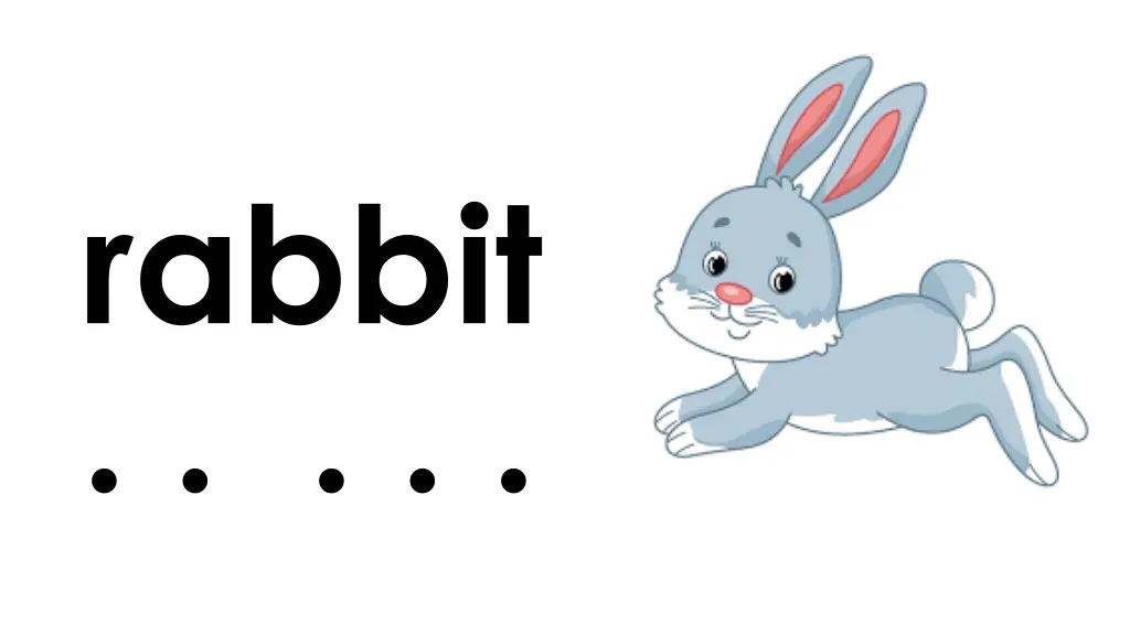 rabbit