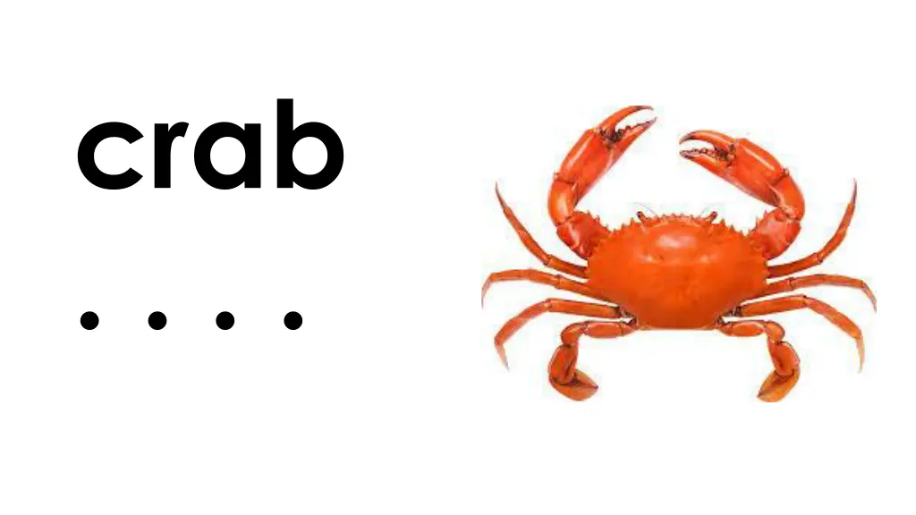 slide11