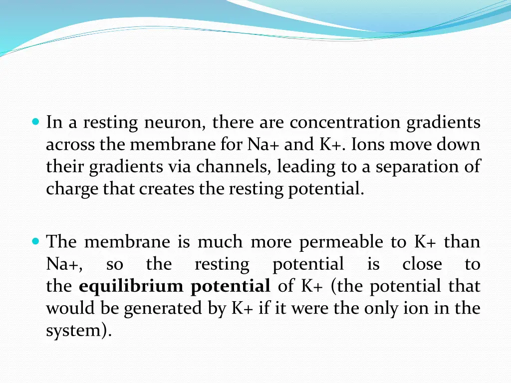 in a resting neuron there are concentration