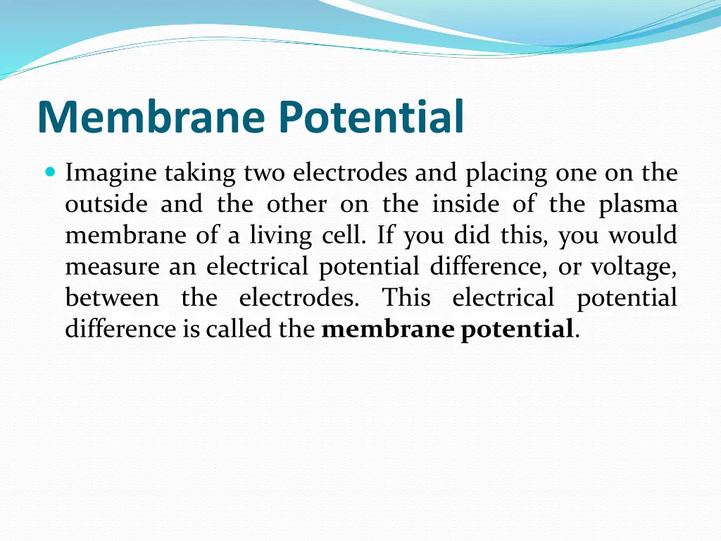 membrane potential
